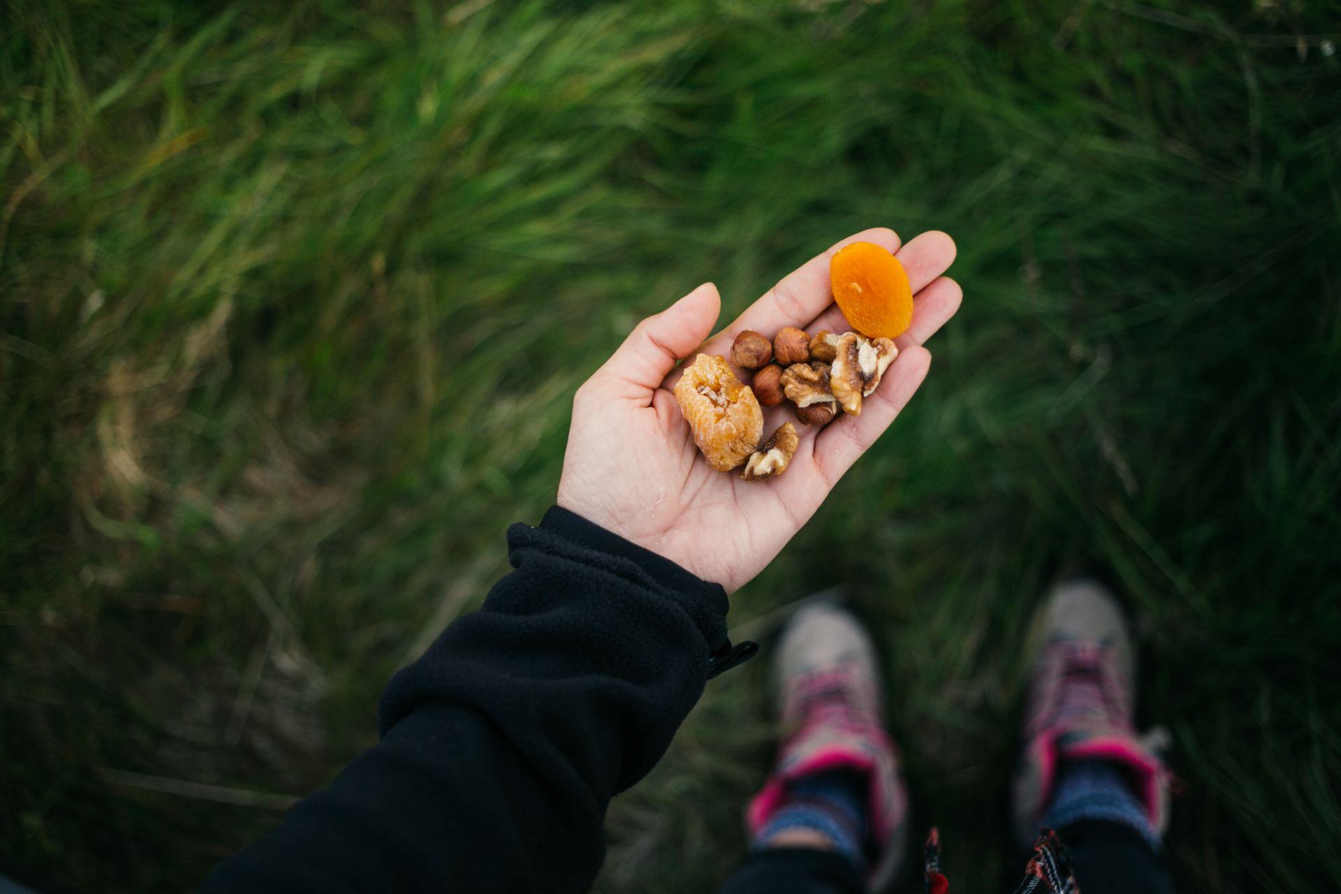 Hand hält getrocknete Aprikosen, Feigen und Nüsse als gesunden Snack.